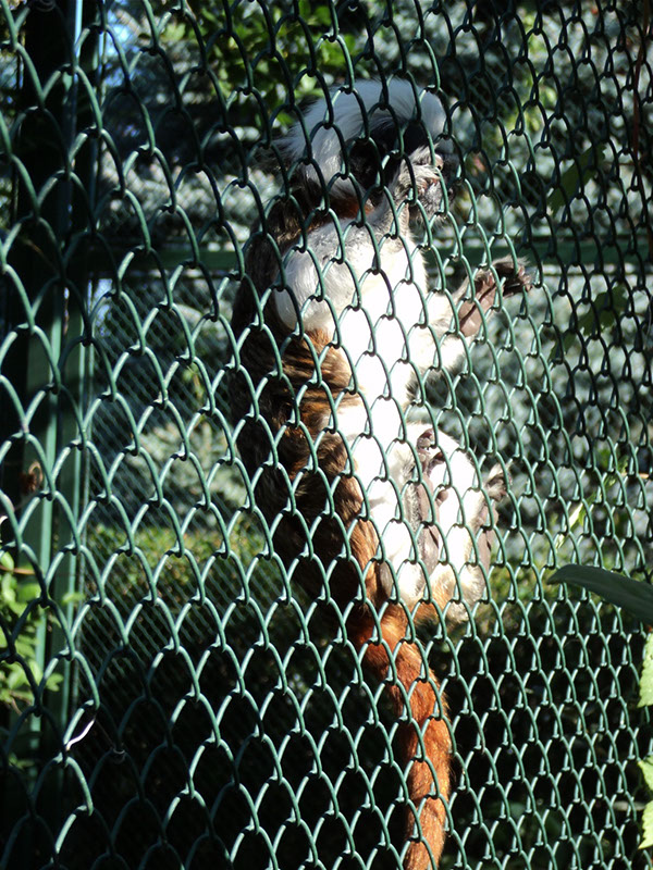 DSC01595