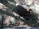 DSC01679