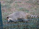 DSC01605