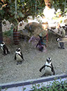 DSC01560