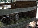 DSC01675