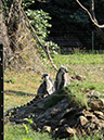 DSC01618