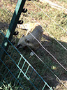 DSC01606