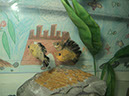 DSC01961