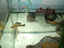 DSC01958