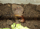 DSC01984