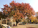 DSC02030