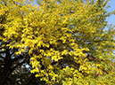 DSC02038
