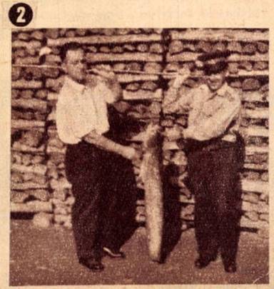 Lers: Lers: Lers: Lers: D:\Dokumentumok\csaldtrtnet\janos1966.jpg