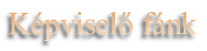 Kpvisel fnk