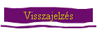 Visszajelzs