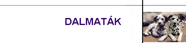 DALMAT�K