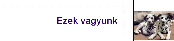 Ezek vagyunk