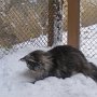 Winter Winter