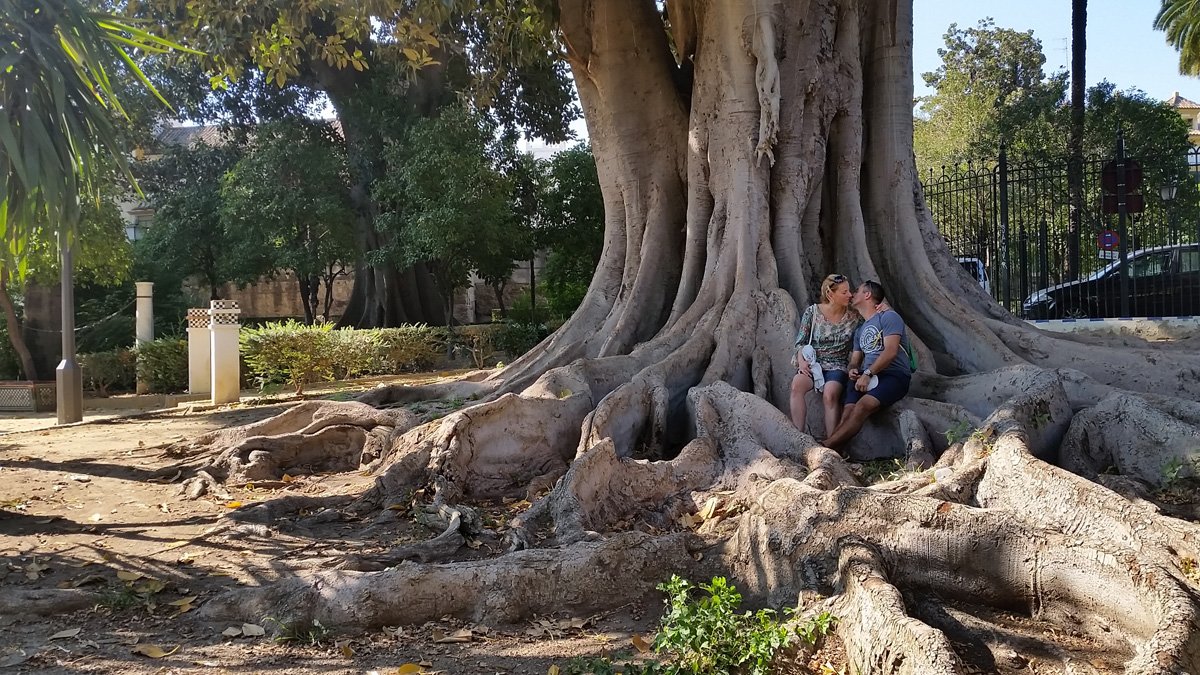 jardinesdemurillosevilla2.jpg