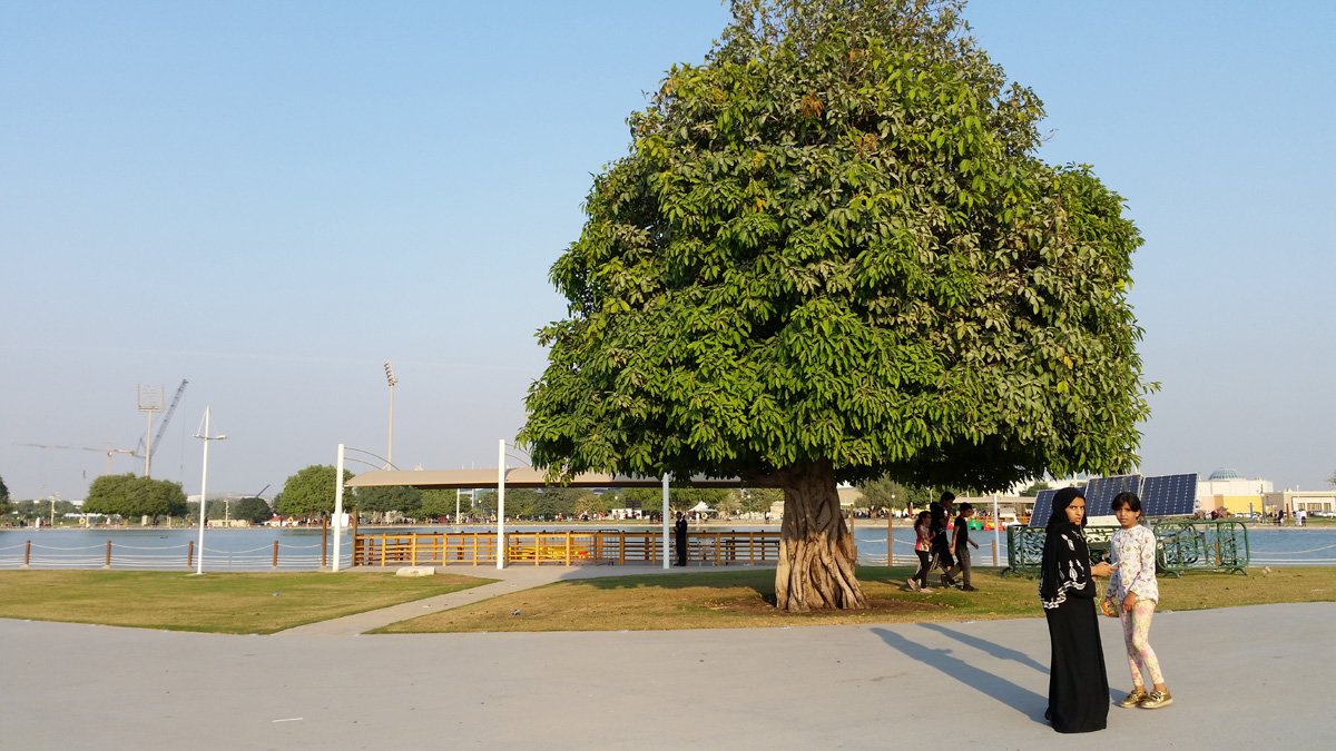aspirepark.jpg