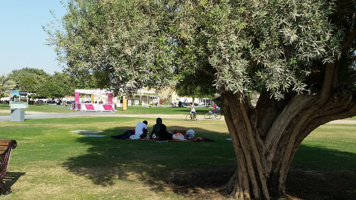 aspirepark3.jpg