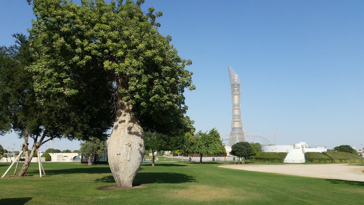 photo9.jpg