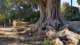 jardinesdemurillosevilla2_small.jpg