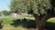 aspirepark3_small.jpg