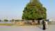 aspirepark_small.jpg