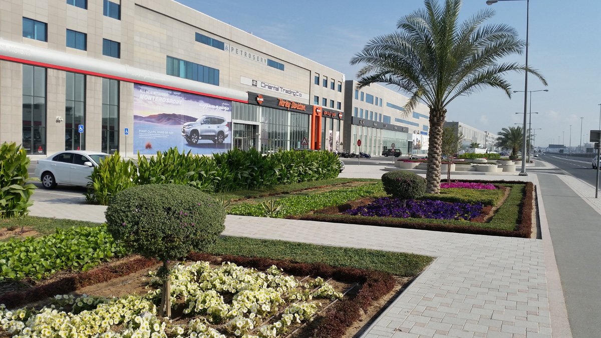 salwaroaddoha.jpg