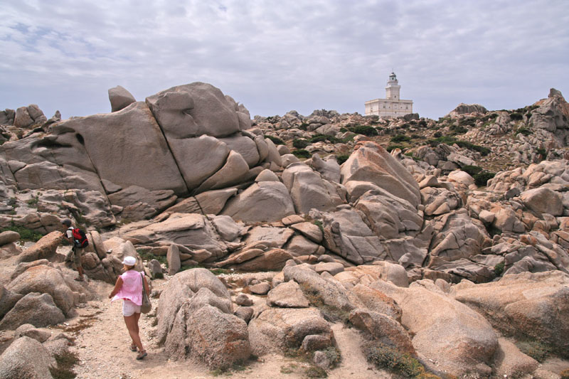 038 capo testa