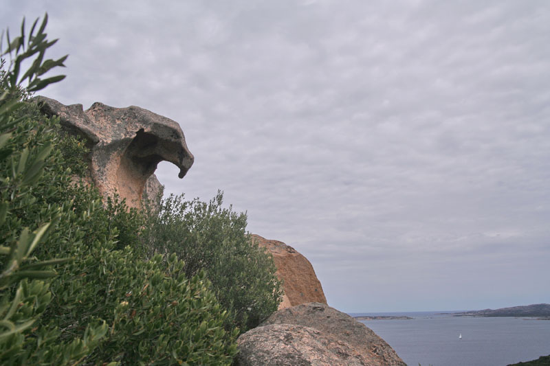 039 palau