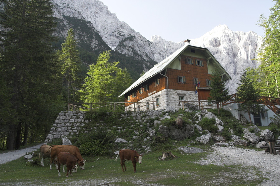 028slovenia