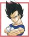 vegeta.jpg