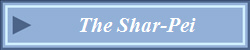 The Shar-Pei