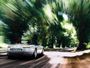 bmw_z8_15.jpg