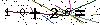 Veiligheids Code