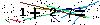 Veiligheids Code
