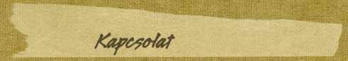 kapcsolat