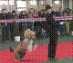 nora_jpg.jpg