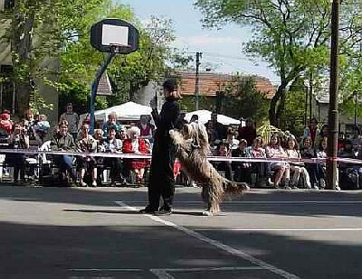 040515-02_jpg.jpg
