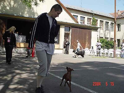 040515-06_jpg.jpg