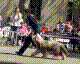 040515-01_jpg.jpg