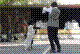 040515-07_jpg.jpg