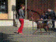 040515-16_jpg.jpg