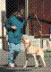 040515-18_jpg.jpg