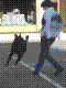 040515-23_jpg.jpg