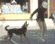040515-28_jpg.jpg