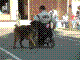 040515-29_jpg.jpg