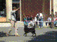 040515-45_jpg.jpg