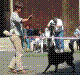 040515-46_jpg.jpg