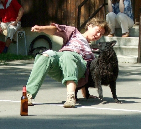 agi2.jpg