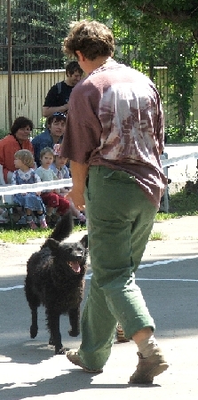 agi3.jpg