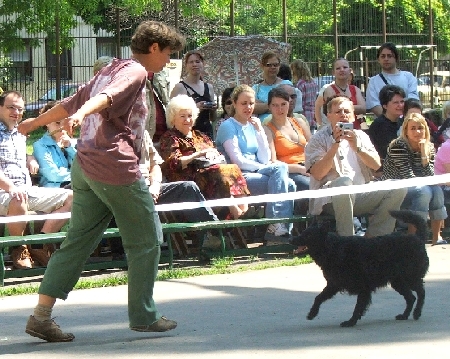 agi5.jpg